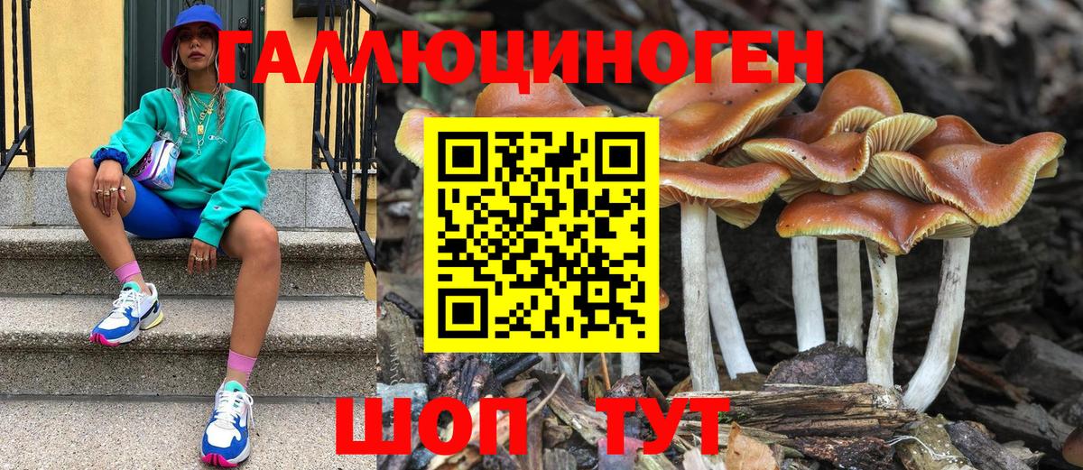 Псилоцибиновые грибы Psilocybine cubensis Нижнекамск