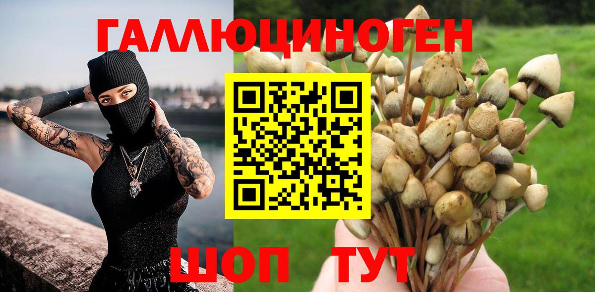 Псилоцибиновые грибы мицелий  Вход с VPN  Нижнекамск 
