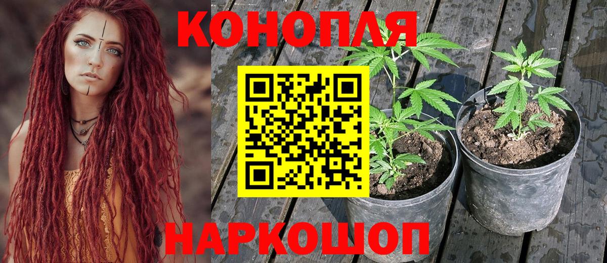 Конопля семена Нижнекамск
